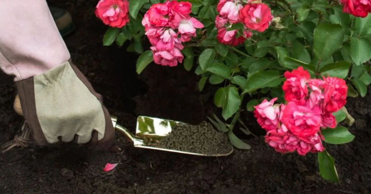 Mulching and Weed Control Mulching and Weed Control