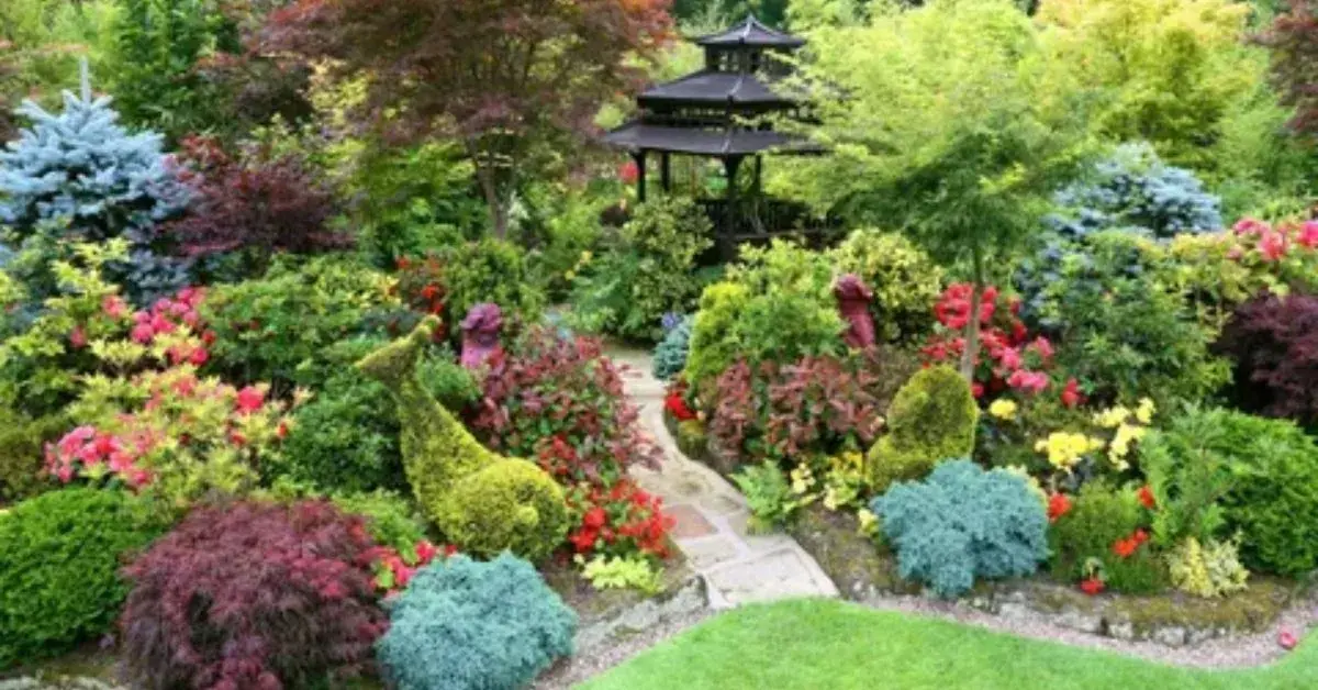 Top 10 Shrub Plants for a Beautiful Garden