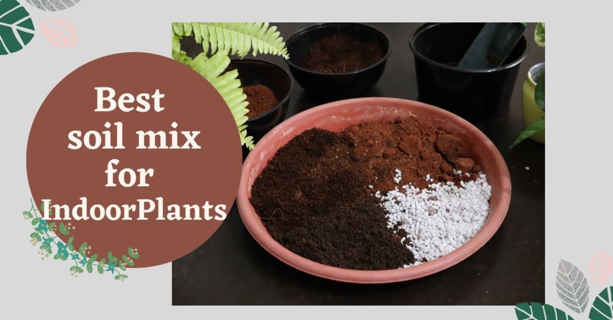 Ideal Soil and Potting Mix Ideal Soil and Potting Mix